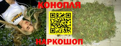 крисы Сланцы