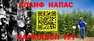 крисы Сланцы