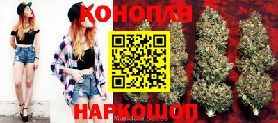 твердый Славгород