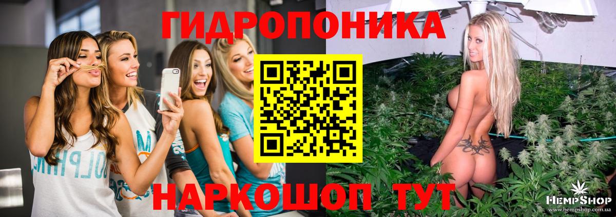 Шишки марихуана MAZAR  Вход с VPN  Бошки марихуана Ganja  Псков  Шишки марихуана индика  Канабис план 